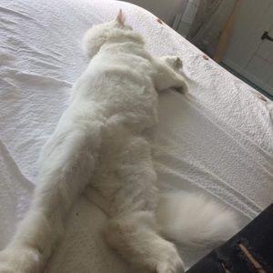 Meet your Posher, Marielee